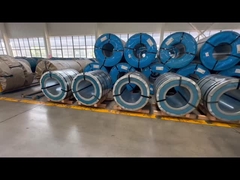 ステンレス鋼板